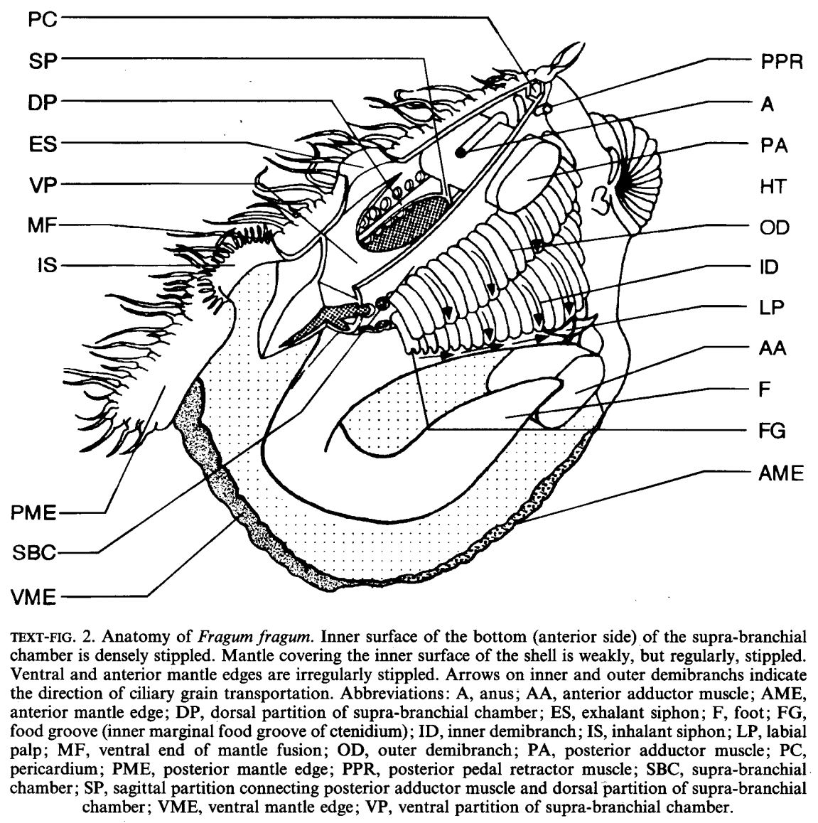 figure image